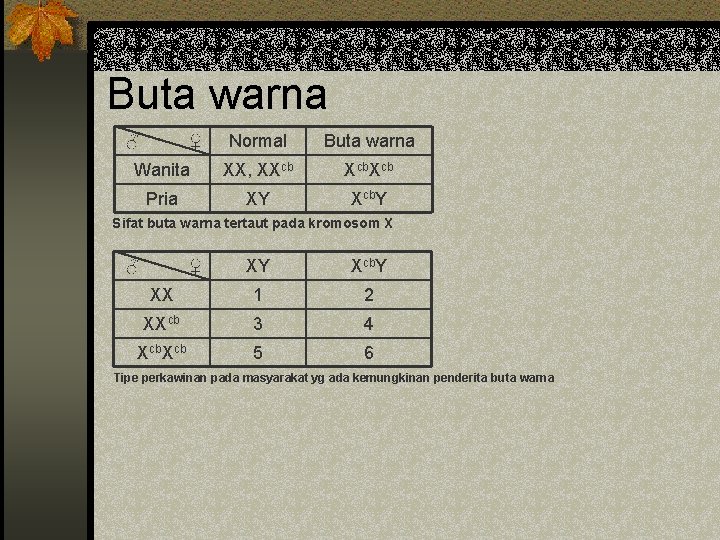 Buta warna ♂ ♀ Normal Buta warna Wanita XX, XXcb Xcb Pria XY Xcb.