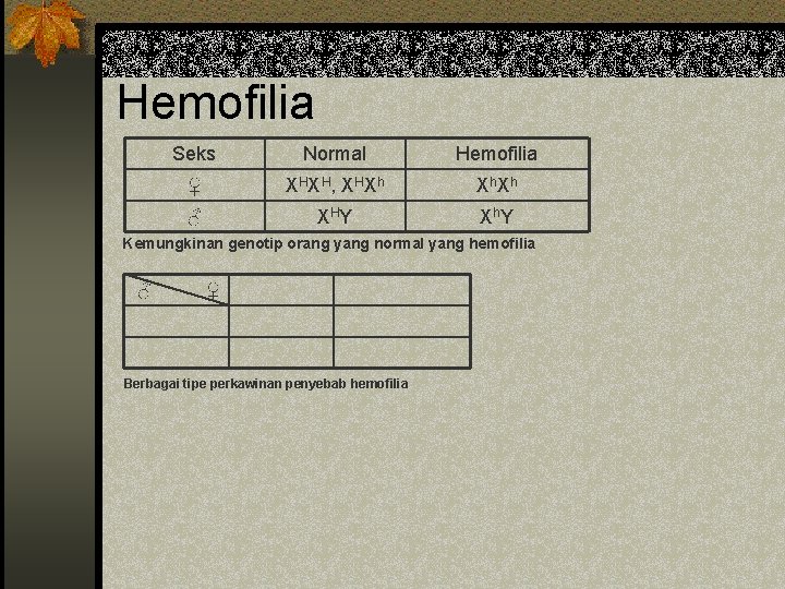 Hemofilia Seks Normal Hemofilia ♀ XH XH , XH Xh Xh. Xh ♂ XH