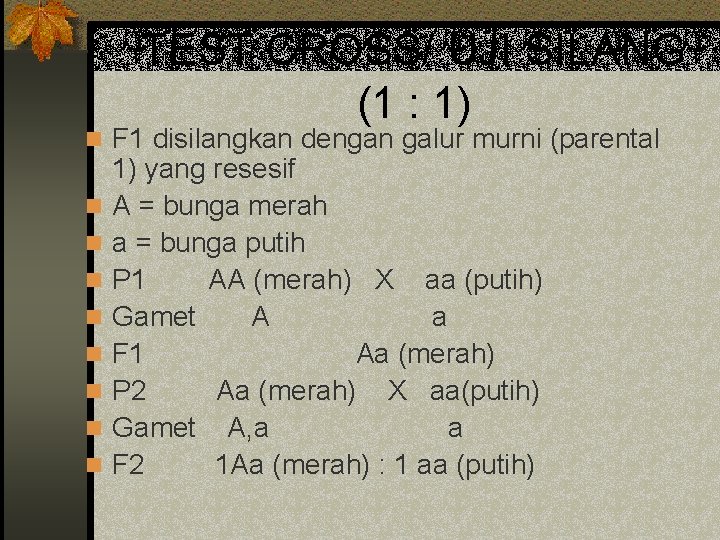 TEST CROSS/ UJI SILANG (1 : 1) n F 1 disilangkan dengan galur murni