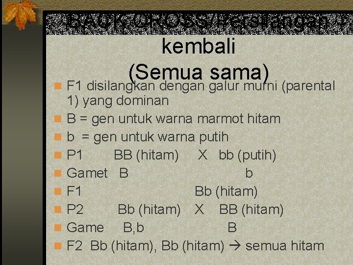 BACK CROSS/Persilangan kembali (Semua sama) n F 1 disilangkan dengan galur murni (parental n