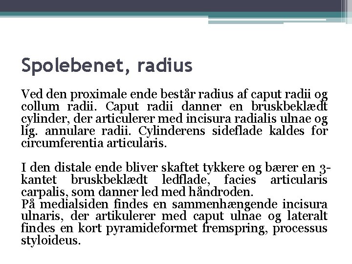 Spolebenet, radius Ved den proximale ende består radius af caput radii og collum radii.