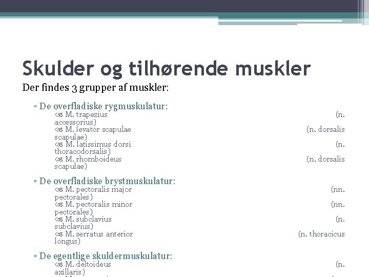 Skulder og tilhørende muskler Der findes 3 grupper af muskler: ▫ De overfladiske rygmuskulatur: Skulder og tilhørende muskler Der findes 3 grupper af muskler: ▫ De overfladiske rygmuskulatur: