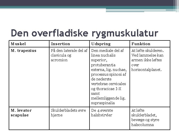 Den overfladiske rygmuskulatur Muskel Insertion Udspring M. trapezius På den laterale del af Den Den overfladiske rygmuskulatur Muskel Insertion Udspring M. trapezius På den laterale del af Den