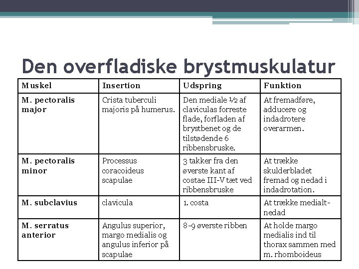 Den overfladiske brystmuskulatur Muskel Insertion Udspring Funktion M. pectoralis major Crista tuberculi majoris på