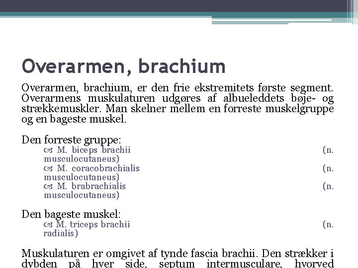 Overarmen, brachium, er den frie ekstremitets første segment. Overarmens muskulaturen udgøres af albueleddets bøje- Overarmen, brachium, er den frie ekstremitets første segment. Overarmens muskulaturen udgøres af albueleddets bøje-