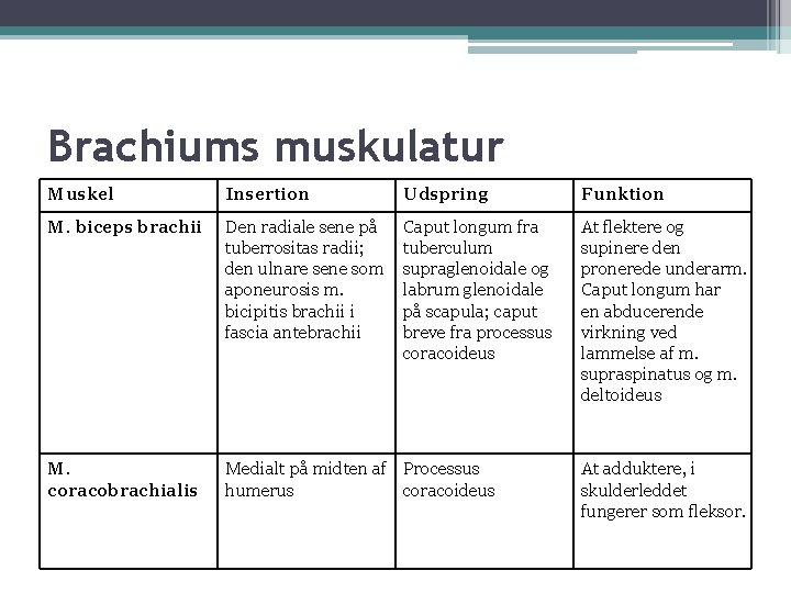 Brachiums muskulatur Muskel Insertion Udspring Funktion M. biceps brachii Den radiale sene på tuberrositas Brachiums muskulatur Muskel Insertion Udspring Funktion M. biceps brachii Den radiale sene på tuberrositas