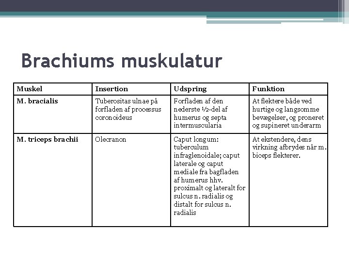 Brachiums muskulatur Muskel Insertion Udspring Funktion M. bracialis Tuberositas ulnae på forfladen af processus