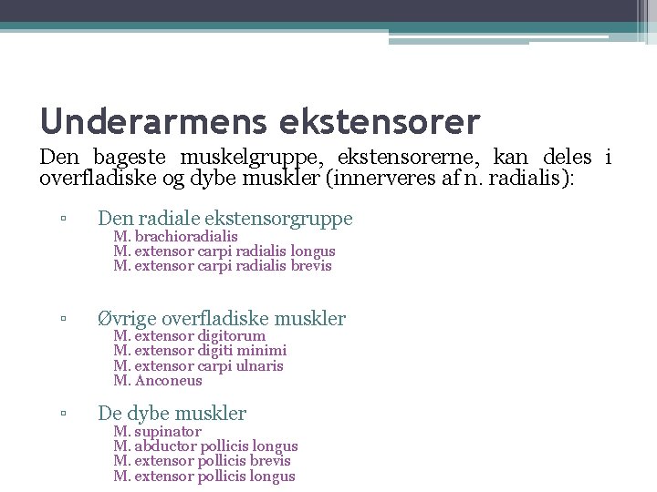 Underarmens ekstensorer Den bageste muskelgruppe, ekstensorerne, kan deles i overfladiske og dybe muskler (innerveres Underarmens ekstensorer Den bageste muskelgruppe, ekstensorerne, kan deles i overfladiske og dybe muskler (innerveres