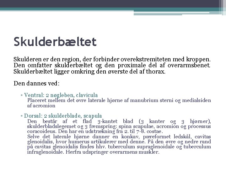 Skulderbæltet Skulderen er den region, der forbinder overekstremiteten med kroppen. Den omfatter skulderbæltet og