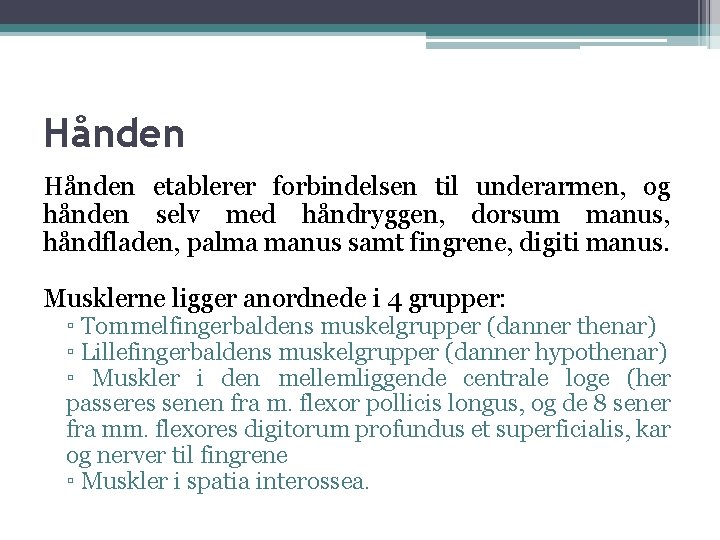 Hånden etablerer forbindelsen til underarmen, og hånden selv med håndryggen, dorsum manus, håndfladen, palma Hånden etablerer forbindelsen til underarmen, og hånden selv med håndryggen, dorsum manus, håndfladen, palma