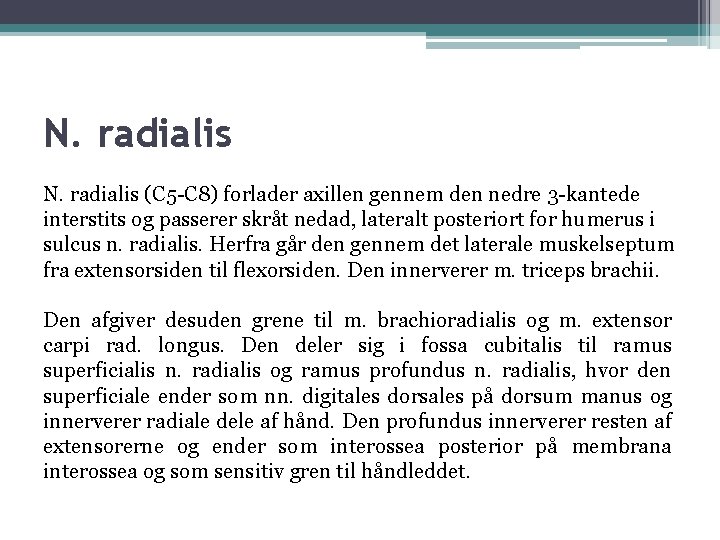 N. radialis (C 5 -C 8) forlader axillen gennem den nedre 3 -kantede interstits