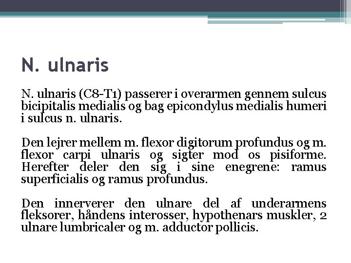 N. ulnaris (C 8 -T 1) passerer i overarmen gennem sulcus bicipitalis medialis og