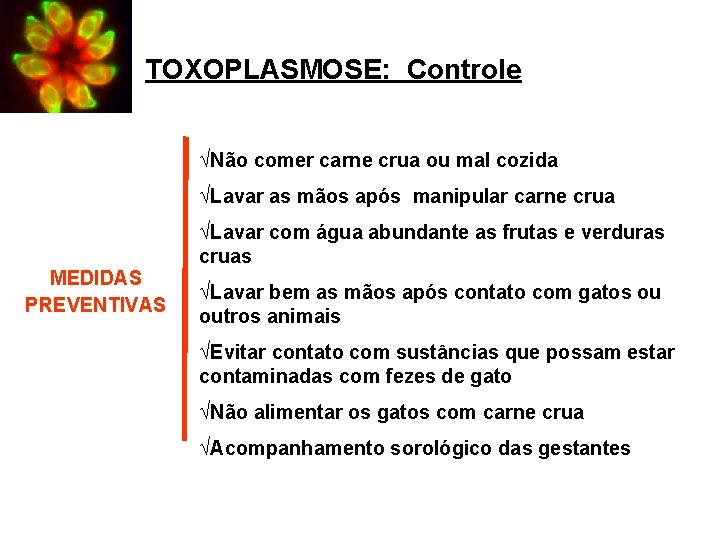 TOXOPLASMOSE: Controle ÖNão comer carne crua ou mal cozida ÖLavar as mãos após manipular