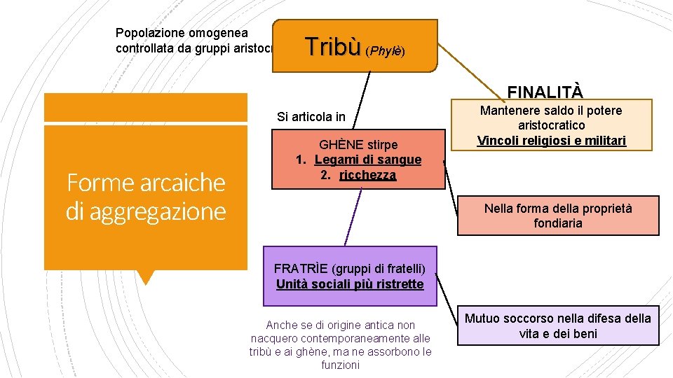 Popolazione omogenea controllata da gruppi aristocratici Tribù (Phylè) FINALITÀ Si articola in Forme arcaiche Popolazione omogenea controllata da gruppi aristocratici Tribù (Phylè) FINALITÀ Si articola in Forme arcaiche