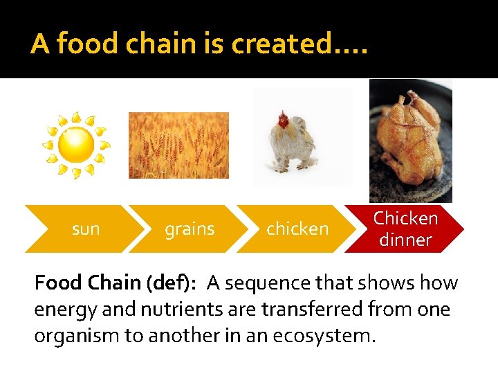 A food chain is created. . sun grains chicken Chicken dinner Food Chain (def):