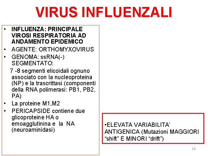 VIRUS INFLUENZALI • INFLUENZA: PRINCIPALE VIROSI RESPIRATORIA AD ANDAMENTO EPIDEMICO • AGENTE: ORTHOMYXOVIRUS •