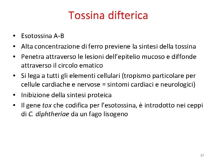 Tossina difterica • Esotossina A-B • Alta concentrazione di ferro previene la sintesi della