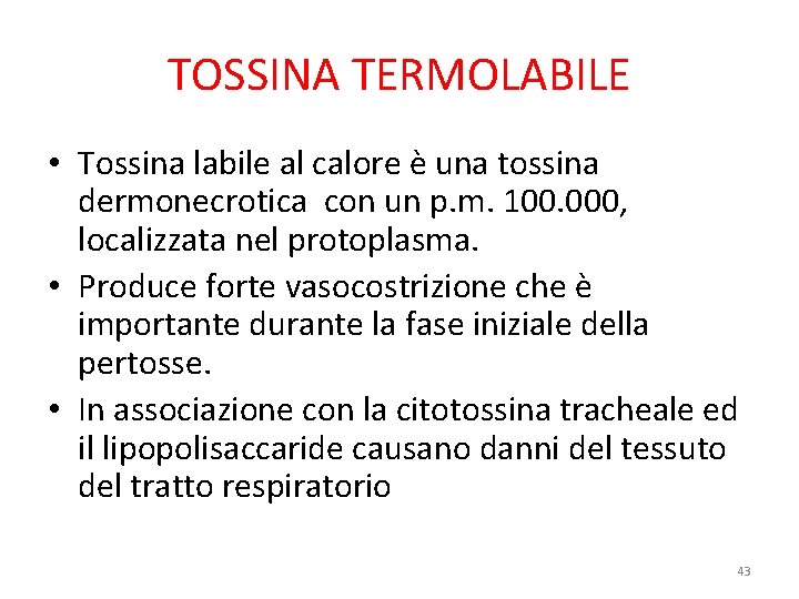 TOSSINA TERMOLABILE • Tossina labile al calore è una tossina dermonecrotica con un p.