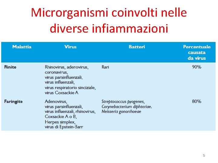 Microrganismi coinvolti nelle diverse infiammazioni 5 