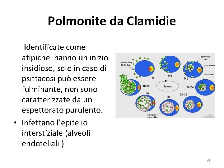 Polmonite da Clamidie Identificate come atipiche hanno un inizio insidioso, solo in caso di