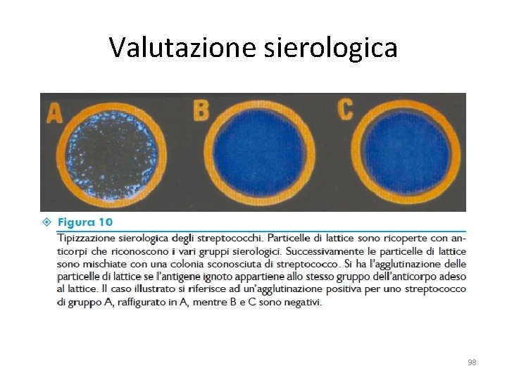 Valutazione sierologica 98 