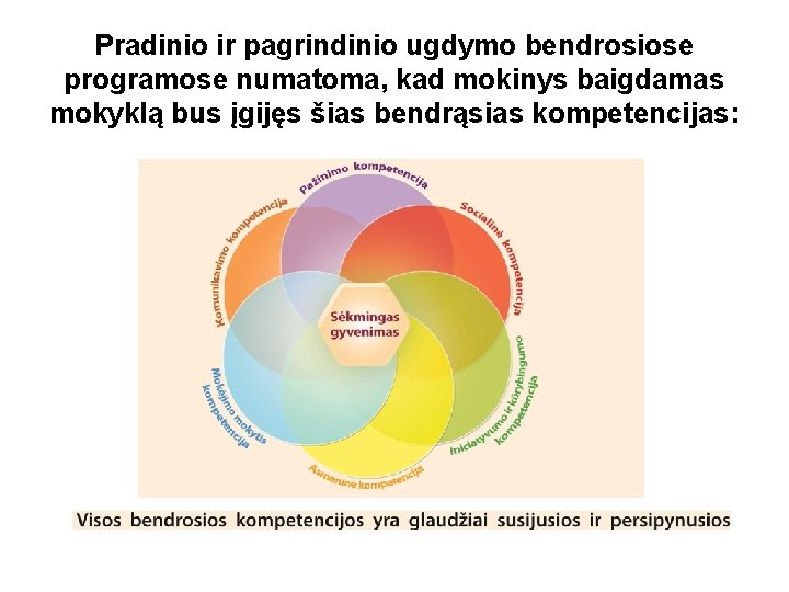 Pradinio ir pagrindinio ugdymo bendrosiose programose numatoma, kad mokinys baigdamas mokyklą bus įgijęs šias