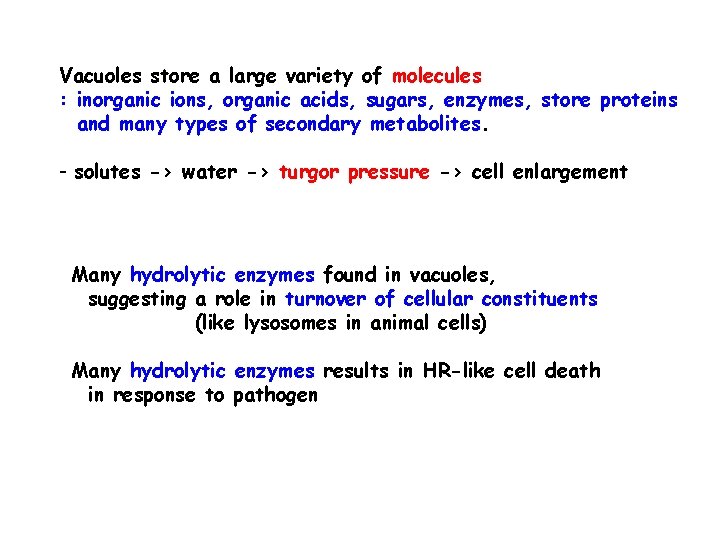 Vacuoles store a large variety of molecules : inorganic ions, organic acids, sugars, enzymes,