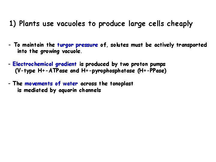 1) Plants use vacuoles to produce large cells cheaply - To maintain the turgor