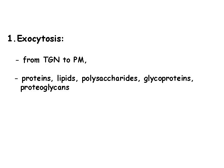 1. Exocytosis: - from TGN to PM, - proteins, lipids, polysaccharides, glycoproteins, proteoglycans 