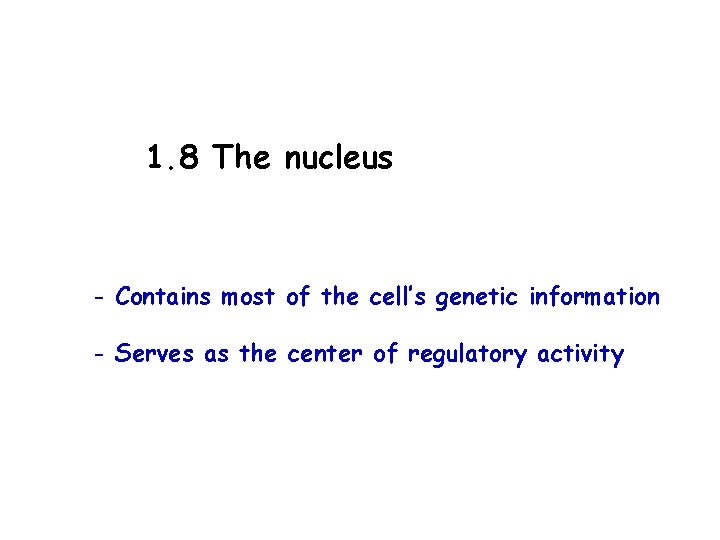 1. 8 The nucleus - Contains most of the cell’s genetic information - Serves