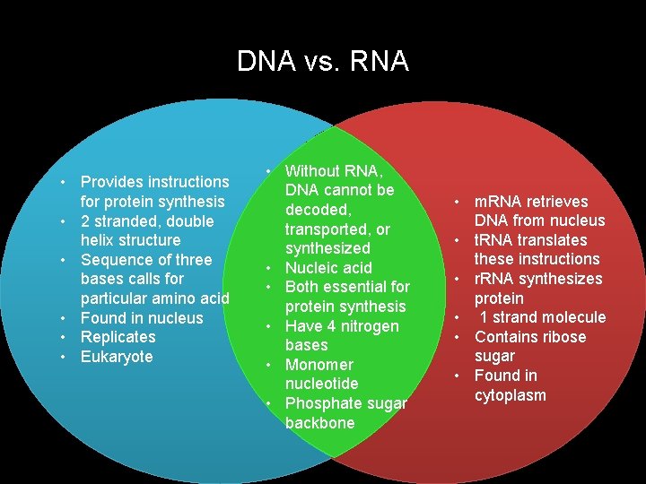 DNA vs. RNA • Provides instructions for protein synthesis • 2 stranded, double helix