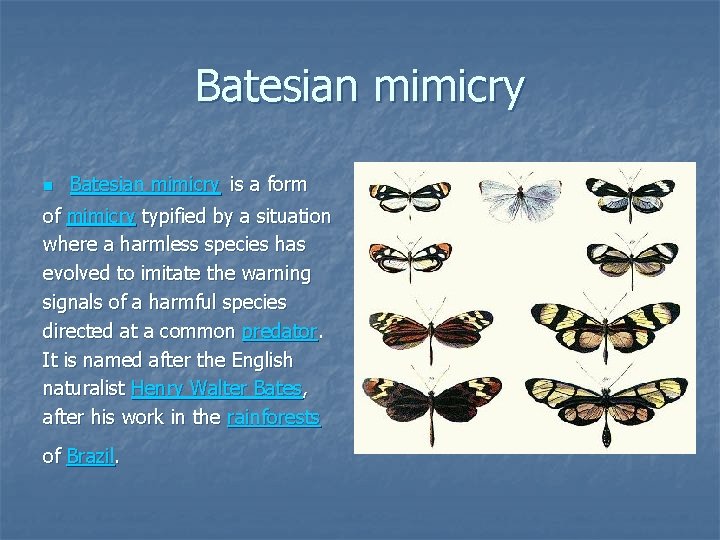 Batesian mimicry n Batesian mimicry is a form of mimicry typified by a situation