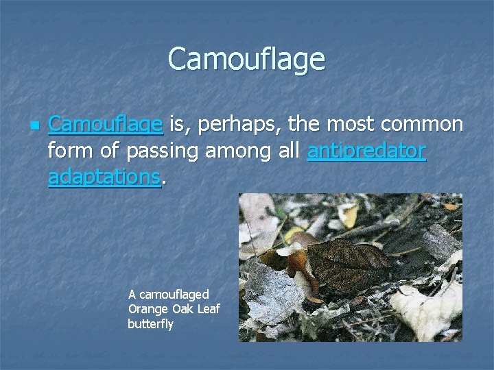 Camouflage n Camouflage is, perhaps, the most common form of passing among all antipredator