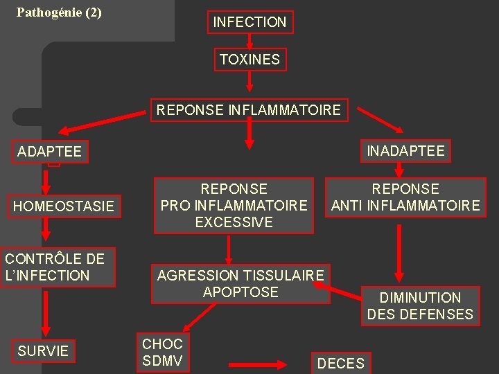 Pathogénie (2) INFECTION TOXINES REPONSE INFLAMMATOIRE INADAPTEE HOMEOSTASIE CONTRÔLE DE L’INFECTION SURVIE REPONSE PRO