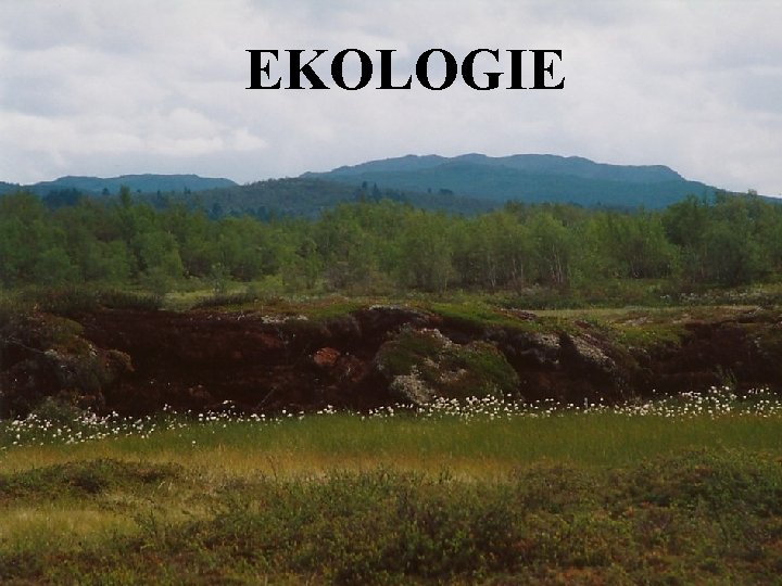 EKOLOGIE EKOLOGIE