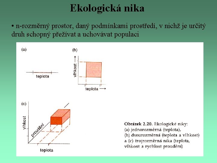 Ekologická nika • n-rozměrný prostor, daný podmínkami prostředí, v nichž je určitý druh schopný