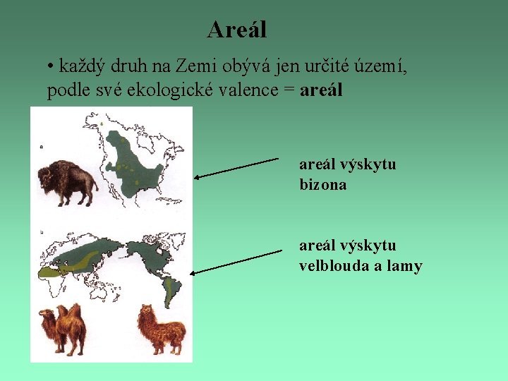 Areál • každý druh na Zemi obývá jen určité území, podle své ekologické valence