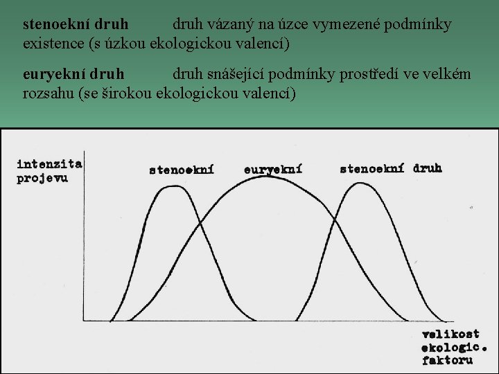 stenoekní druh vázaný na úzce vymezené podmínky existence (s úzkou ekologickou valencí) euryekní druh