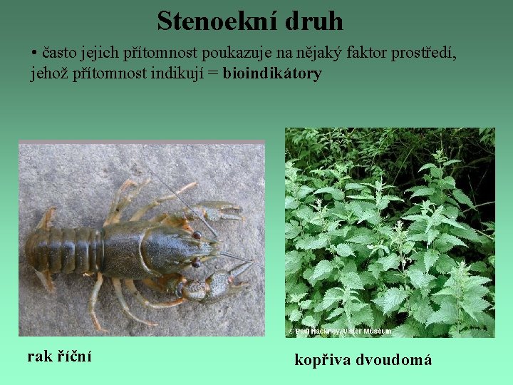 Stenoekní druh • často jejich přítomnost poukazuje na nějaký faktor prostředí, jehož přítomnost indikují