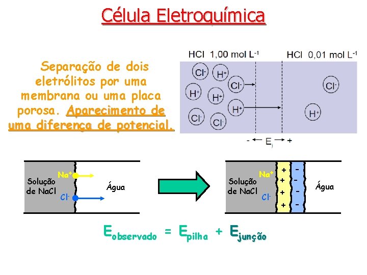 Célula Eletroquímica Separação de dois eletrólitos por uma membrana ou uma placa porosa. Aparecimento