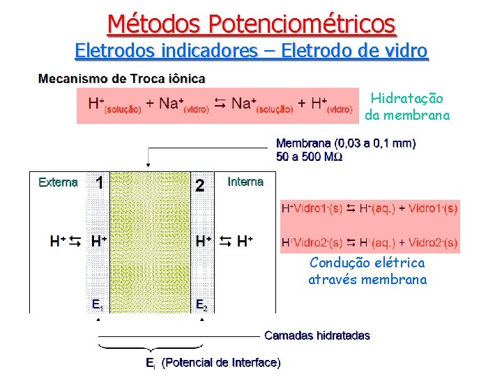 Métodos Potenciométricos Eletrodos indicadores – Eletrodo de vidro Hidratação da membrana Condução elétrica através