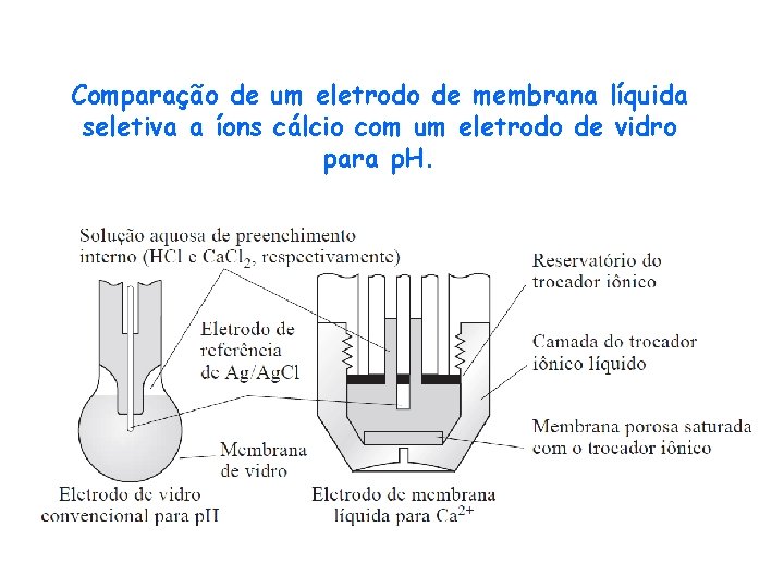 Comparação de um eletrodo de membrana líquida seletiva a íons cálcio com um eletrodo