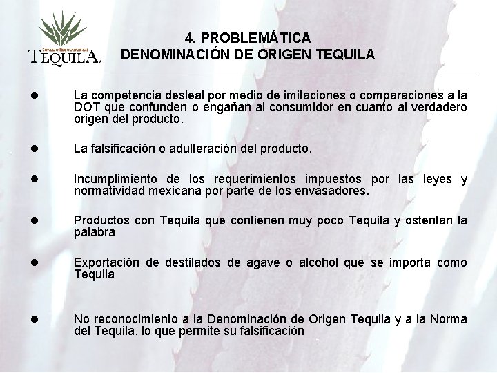 4. PROBLEMÁTICA DENOMINACIÓN DE ORIGEN TEQUILA l La competencia desleal por medio de imitaciones