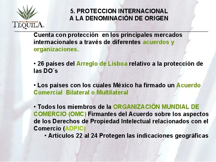 5. PROTECCION INTERNACIONAL A LA DENOMINACIÓN DE ORIGEN Cuenta con protección en los principales