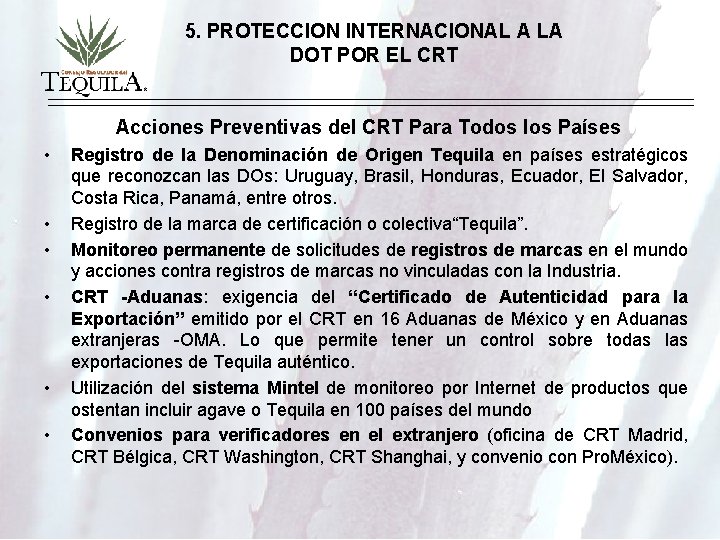 5. PROTECCION INTERNACIONAL A LA DOT POR EL CRT Acciones Preventivas del CRT Para