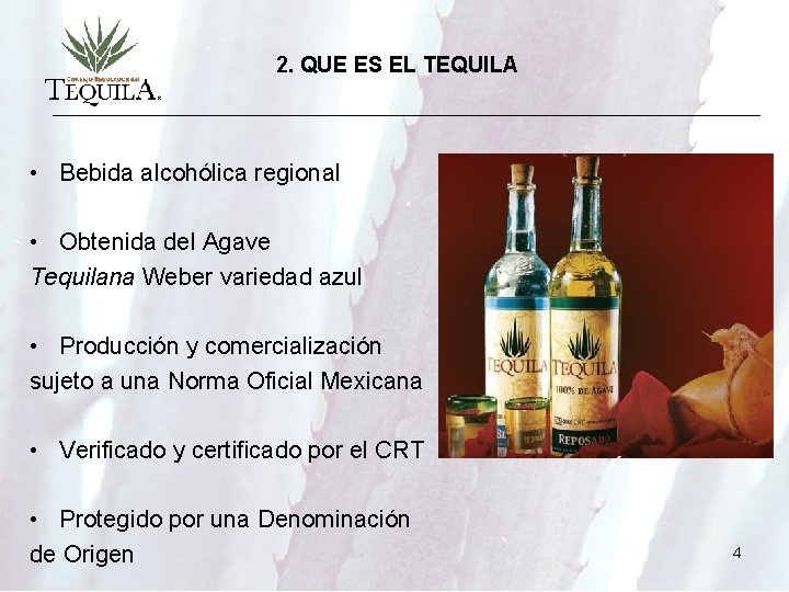 2. QUE ES EL TEQUILA • Bebida alcohólica regional • Obtenida del Agave Tequilana