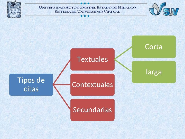 Corta Textuales Tipos de citas larga Contextuales Secundarias 