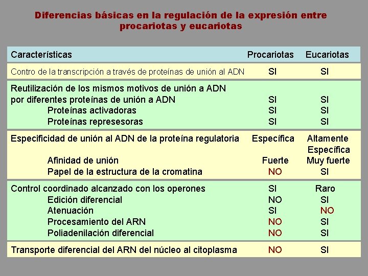 Diferencias básicas en la regulación de la expresión entre procariotas y eucariotas Características Procariotas