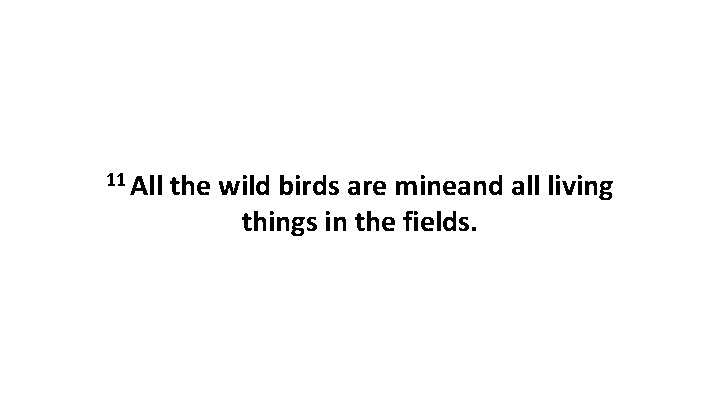 11 All the wild birds are mineand all living things in the fields. 