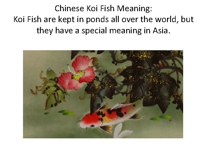 Chinese Koi Fish Meaning: Koi Fish are kept in ponds all over the world,